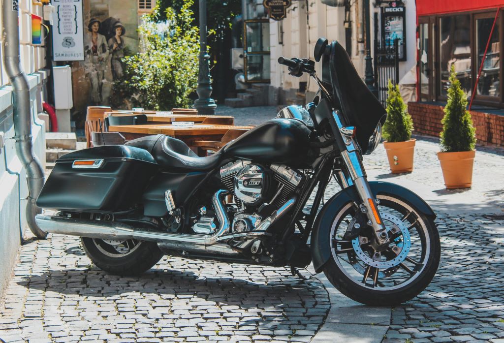 softail standard cruiser bike